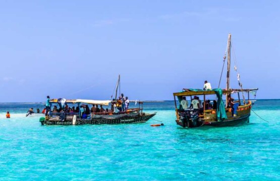 Kisite Marine Park Snorkeling Adventure